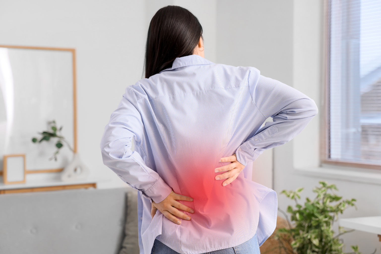 Difference Between Back Pain and Spine v2